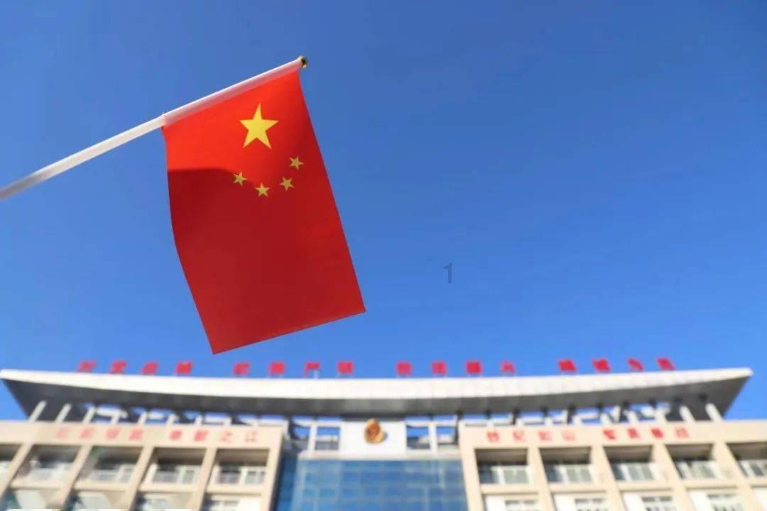 探索登海606玉米需要打矮壮素吗?,发现无限乐趣!